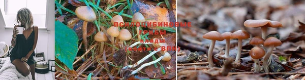 мяу мяу кристалл Аркадак
